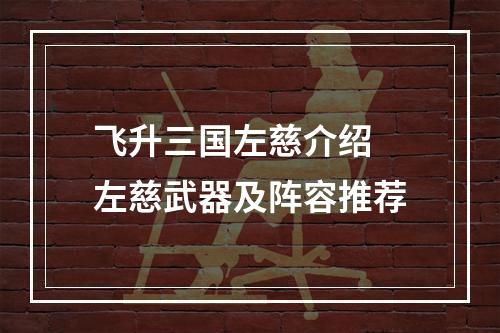 飞升三国左慈介绍 左慈武器及阵容推荐