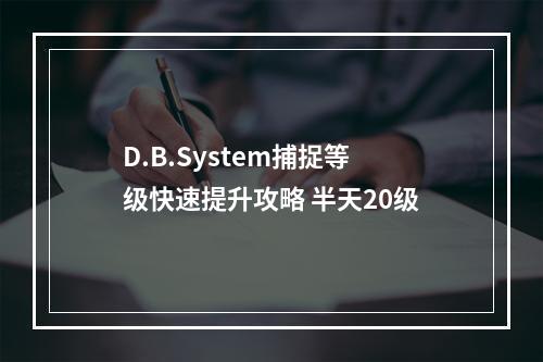 D.B.System捕捉等级快速提升攻略 半天20级