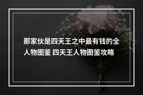 那家伙是四天王之中最有钱的全人物图鉴 四天王人物图鉴攻略