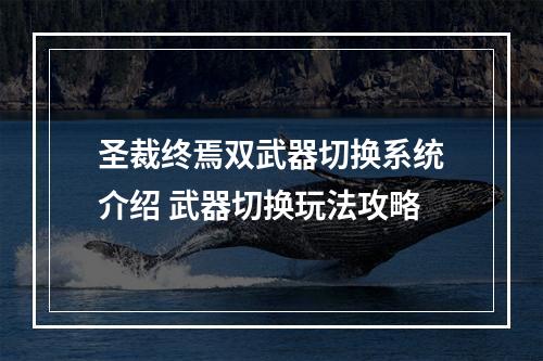 圣裁终焉双武器切换系统介绍 武器切换玩法攻略