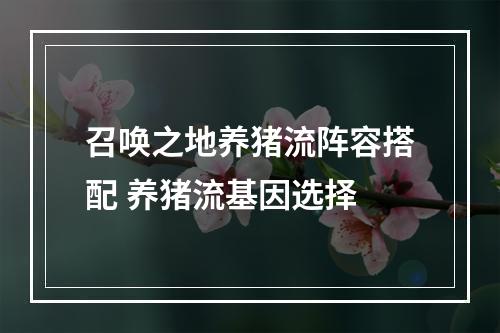 召唤之地养猪流阵容搭配 养猪流基因选择