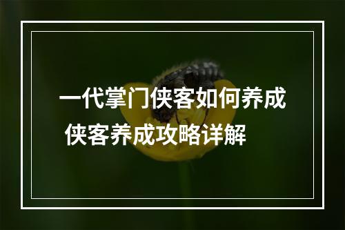 一代掌门侠客如何养成 侠客养成攻略详解