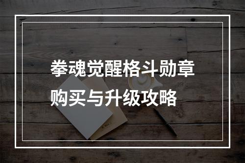 拳魂觉醒格斗勋章购买与升级攻略