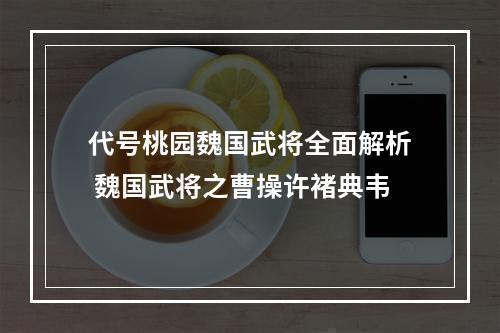 代号桃园魏国武将全面解析 魏国武将之曹操许褚典韦