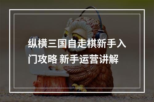 纵横三国自走棋新手入门攻略 新手运营讲解