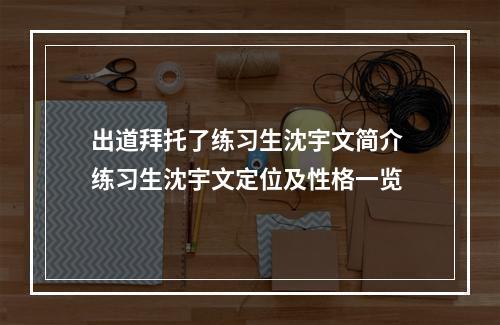 出道拜托了练习生沈宇文简介 练习生沈宇文定位及性格一览