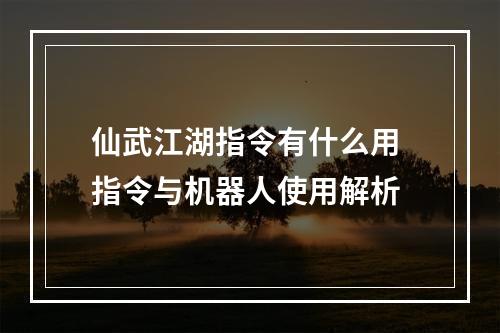 仙武江湖指令有什么用 指令与机器人使用解析