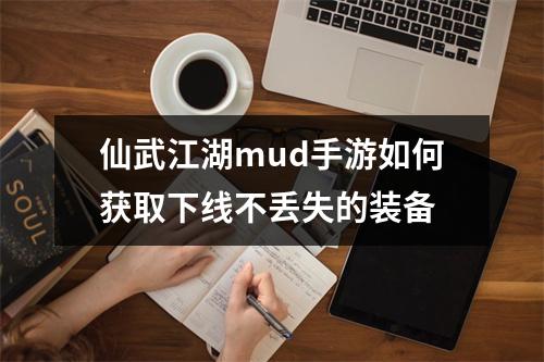 仙武江湖mud手游如何获取下线不丢失的装备