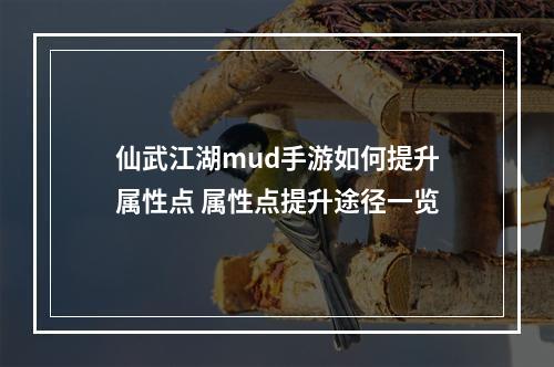 仙武江湖mud手游如何提升属性点 属性点提升途径一览