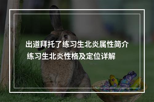 出道拜托了练习生北炎属性简介 练习生北炎性格及定位详解