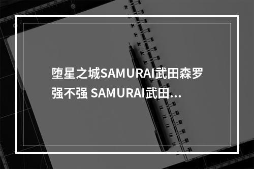 堕星之城SAMURAI武田森罗强不强 SAMURAI武田森罗角色详细解析