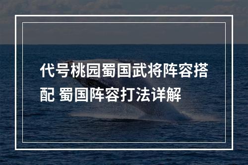 代号桃园蜀国武将阵容搭配 蜀国阵容打法详解