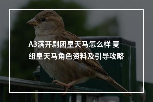 A3满开剧团皇天马怎么样 夏组皇天马角色资料及引导攻略