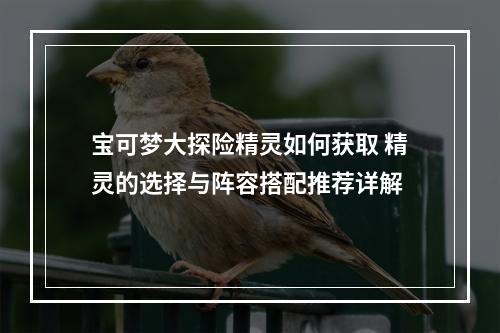 宝可梦大探险精灵如何获取 精灵的选择与阵容搭配推荐详解