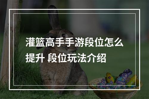 灌篮高手手游段位怎么提升 段位玩法介绍