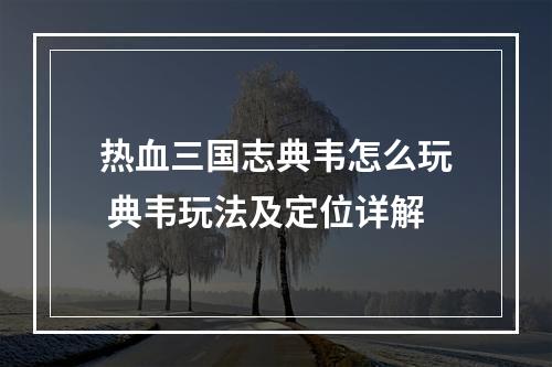 热血三国志典韦怎么玩 典韦玩法及定位详解