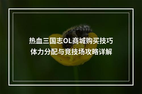 热血三国志OL商城购买技巧 体力分配与竞技场攻略详解