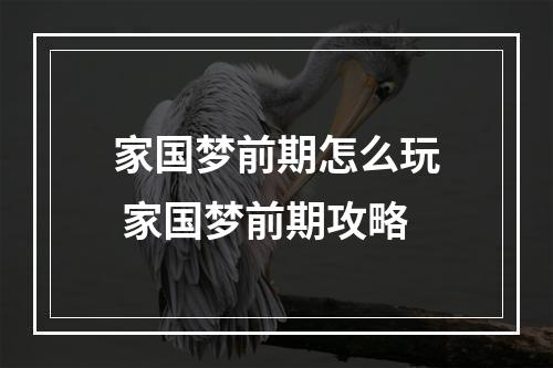 家国梦前期怎么玩 家国梦前期攻略