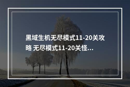 黑域生机无尽模式11-20关攻略 无尽模式11-20关怪物打法及技巧详解