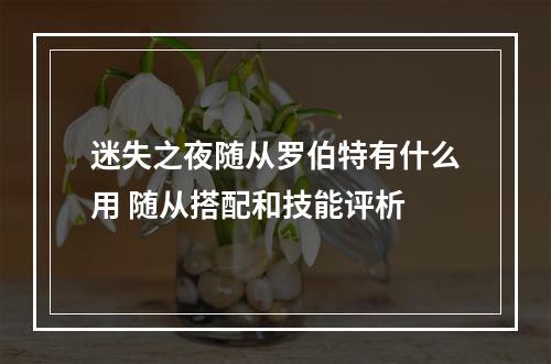 迷失之夜随从罗伯特有什么用 随从搭配和技能评析