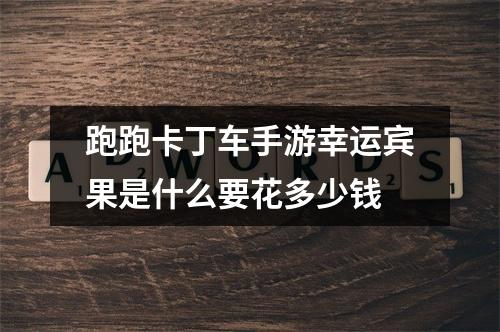 跑跑卡丁车手游幸运宾果是什么要花多少钱