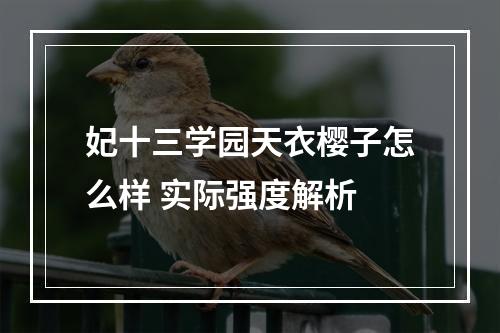 妃十三学园天衣樱子怎么样 实际强度解析