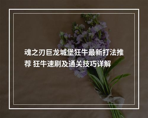 魂之刃巨龙城堡狂牛最新打法推荐 狂牛速刷及通关技巧详解