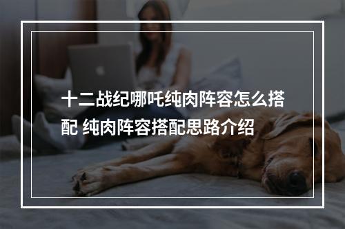 十二战纪哪吒纯肉阵容怎么搭配 纯肉阵容搭配思路介绍