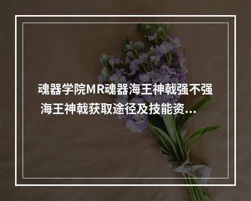 魂器学院MR魂器海王神戟强不强 海王神戟获取途径及技能资质详细解析