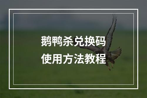 鹅鸭杀兑换码使用方法教程