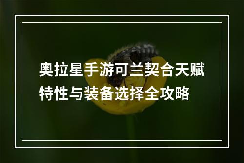 奥拉星手游可兰契合天赋特性与装备选择全攻略