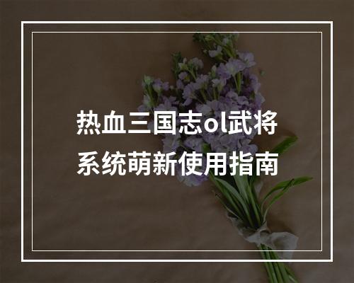 热血三国志ol武将系统萌新使用指南