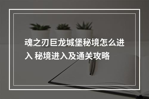 魂之刃巨龙城堡秘境怎么进入 秘境进入及通关攻略