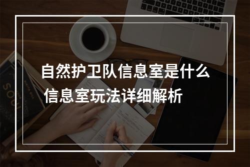 自然护卫队信息室是什么 信息室玩法详细解析