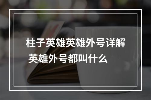 柱子英雄英雄外号详解 英雄外号都叫什么