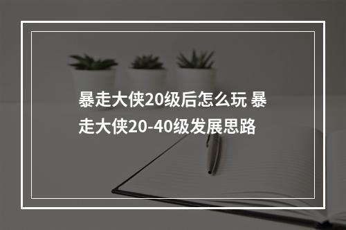 暴走大侠20级后怎么玩 暴走大侠20-40级发展思路