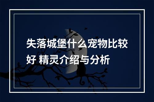 失落城堡什么宠物比较好 精灵介绍与分析