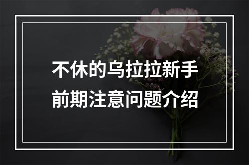 不休的乌拉拉新手前期注意问题介绍