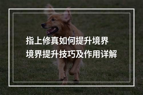 指上修真如何提升境界 境界提升技巧及作用详解