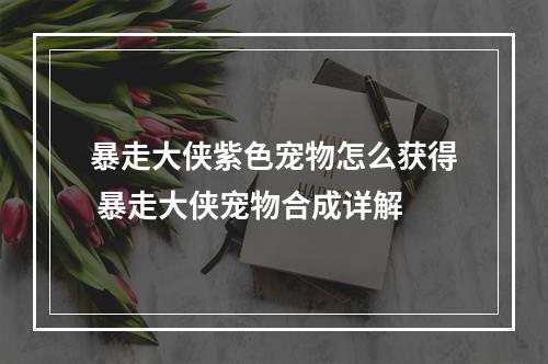 暴走大侠紫色宠物怎么获得 暴走大侠宠物合成详解