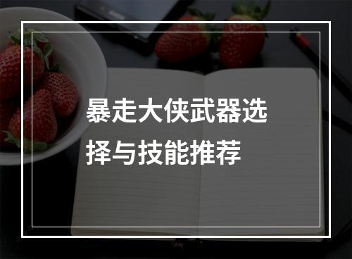 暴走大侠武器选择与技能推荐