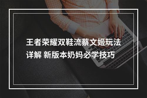 王者荣耀双鞋流蔡文姬玩法详解 新版本奶妈必学技巧