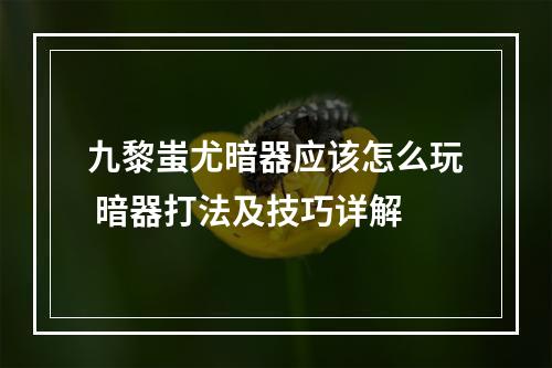 九黎蚩尤暗器应该怎么玩 暗器打法及技巧详解