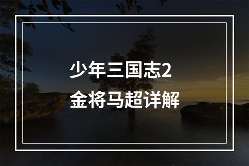 少年三国志2金将马超详解