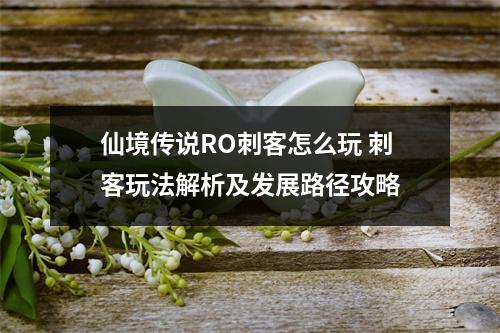 仙境传说RO刺客怎么玩 刺客玩法解析及发展路径攻略