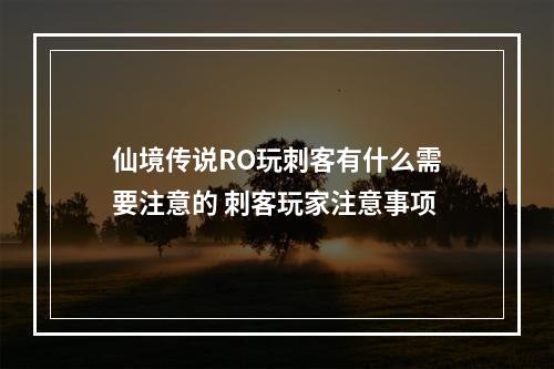 仙境传说RO玩刺客有什么需要注意的 刺客玩家注意事项