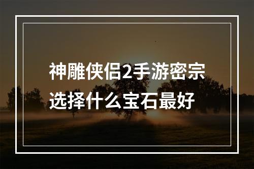 神雕侠侣2手游密宗选择什么宝石最好