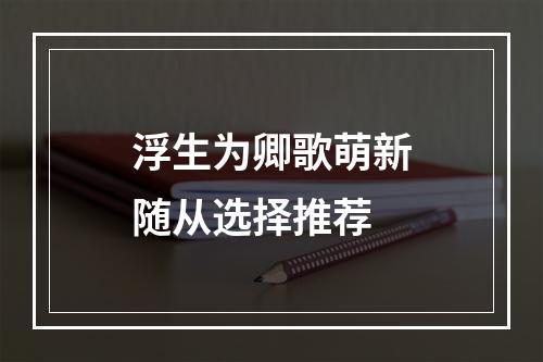 浮生为卿歌萌新随从选择推荐