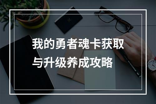 我的勇者魂卡获取与升级养成攻略