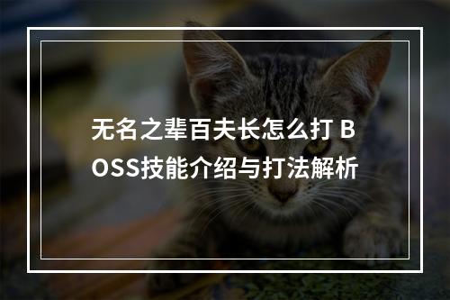 无名之辈百夫长怎么打 BOSS技能介绍与打法解析